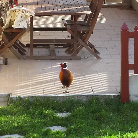 Ferienhaus La Bergerie Du Festel *