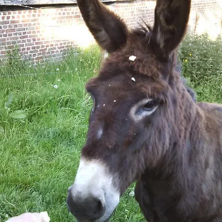 Ferienhaus La Bergerie Du Festel Saint-Riquier