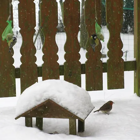 La Bergerie Du Festel Ferienhaus Saint-Riquier