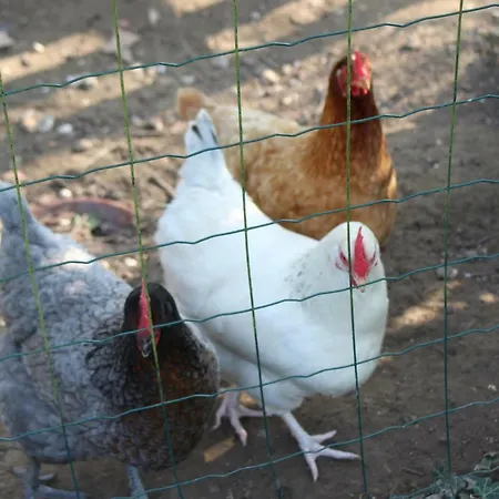 La Bergerie Du Festel Saint-Riquier