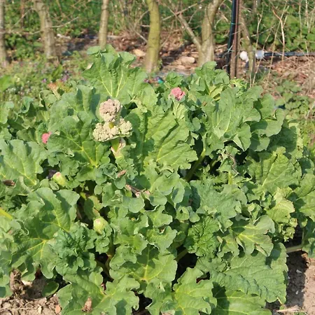 Ferienhaus La Bergerie Du Festel