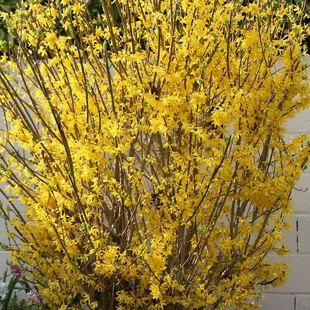 La Bergerie Du Festel Ferienhaus *